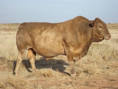 Lot 4 XY 11 01 - 